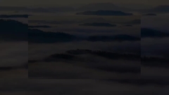 Introdução da empresa