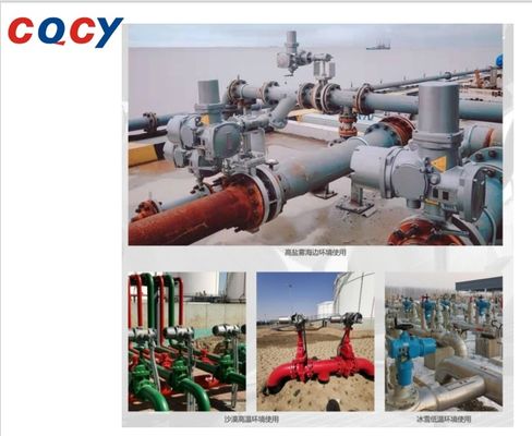 IP66 IP67 IP68 Executing Agency